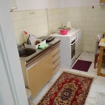 Apartment In Flowers Belgrade