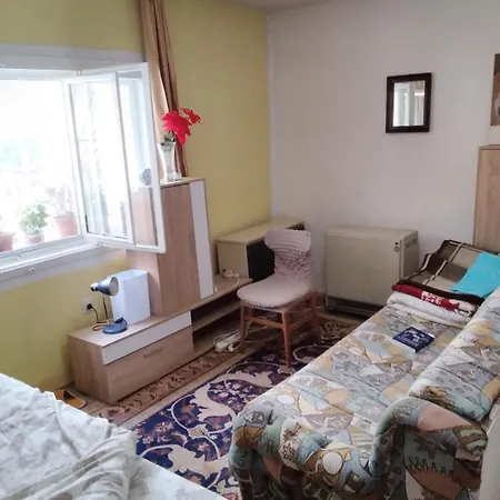 Apartment In Flowers